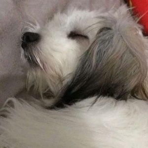 Meet your Posher, Rahzel